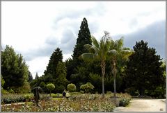 Botanischer Garten am Poppelsdorfer Schloß in Bonn.