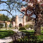 Botanischer Garten, April 2007