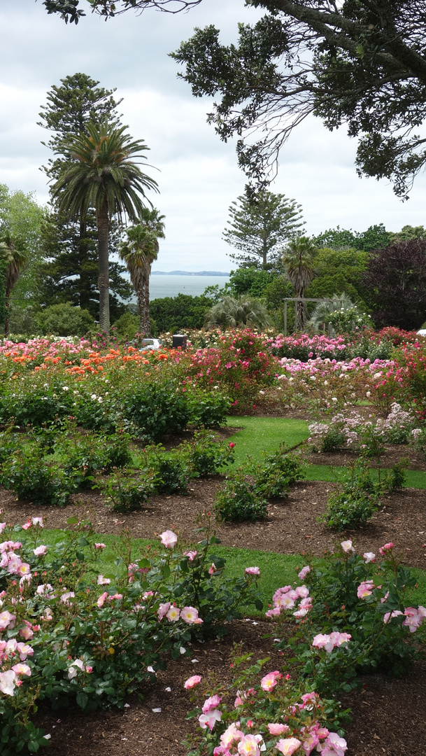 Botanischer Garten, Auckland, Hop-On-Hop-Off-Tour