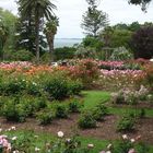 Botanischer Garten, Auckland, Hop-On-Hop-Off-Tour