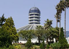 Botanischer Garten auf der Insel Jeju-do / Südkorea