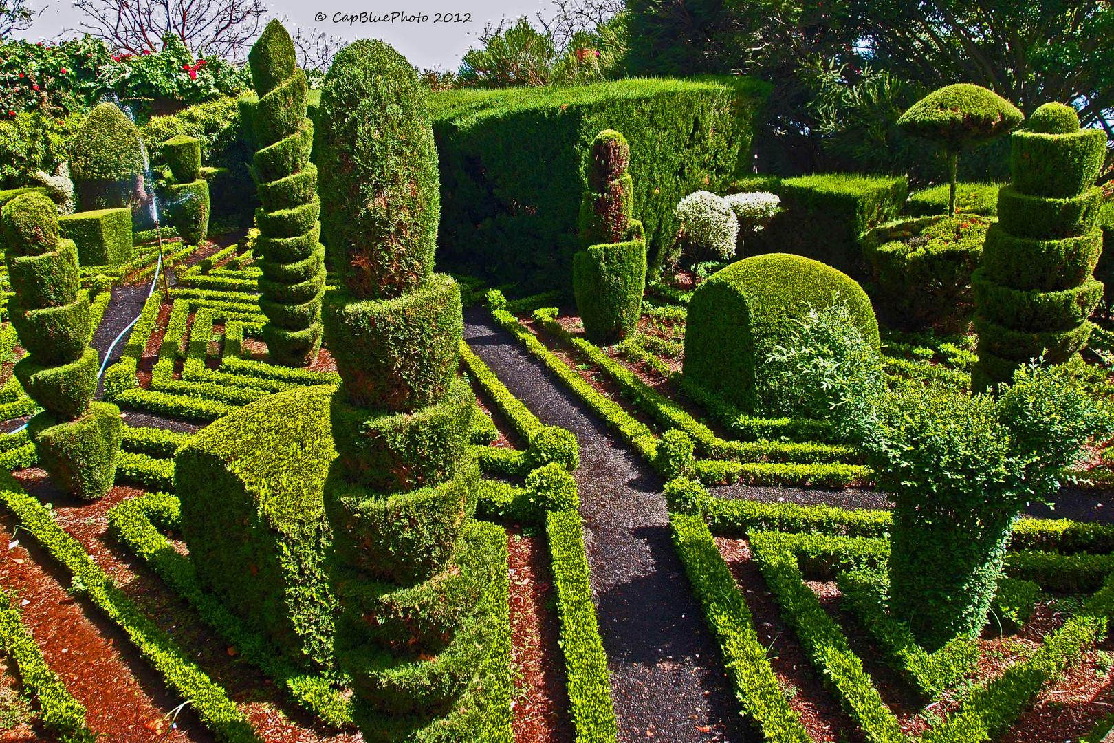 Botanischer Garten auf Madeira Foto & Bild europe