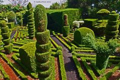 Botanischer Garten auf Madeira