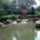 Botanischer Garten Augsburg