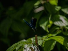 Botanischer Garten Augsburg