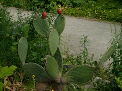 Botanischer Garten Augsburg