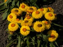 Botanischer Garten Augsburg