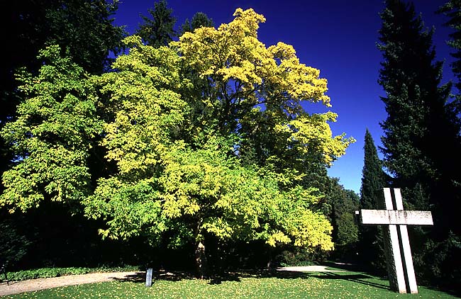 Botanischer Garten Augsburg