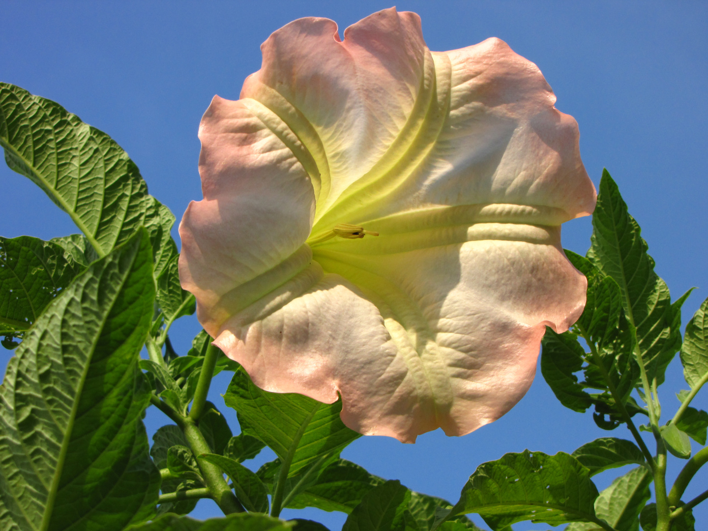 Botanischer Garten Augsburg