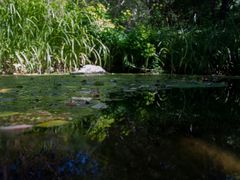 Botanischer Garten Augsburg