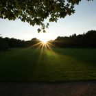 Botanischer Garten Augsburg