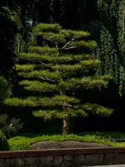 Botanischer Garten Augsburg