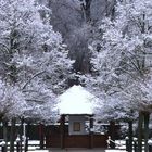 Botanischer Garten Augsburg