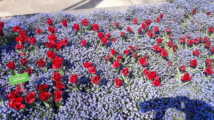 Botanischer Garten Augsburg2