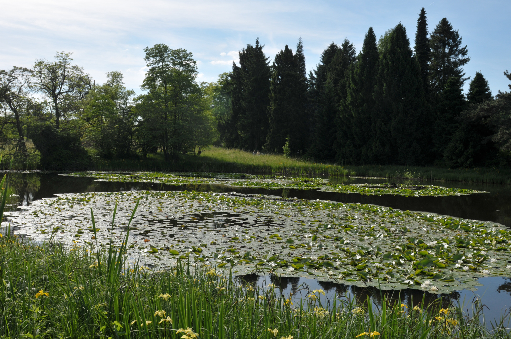 Botanischer Garten