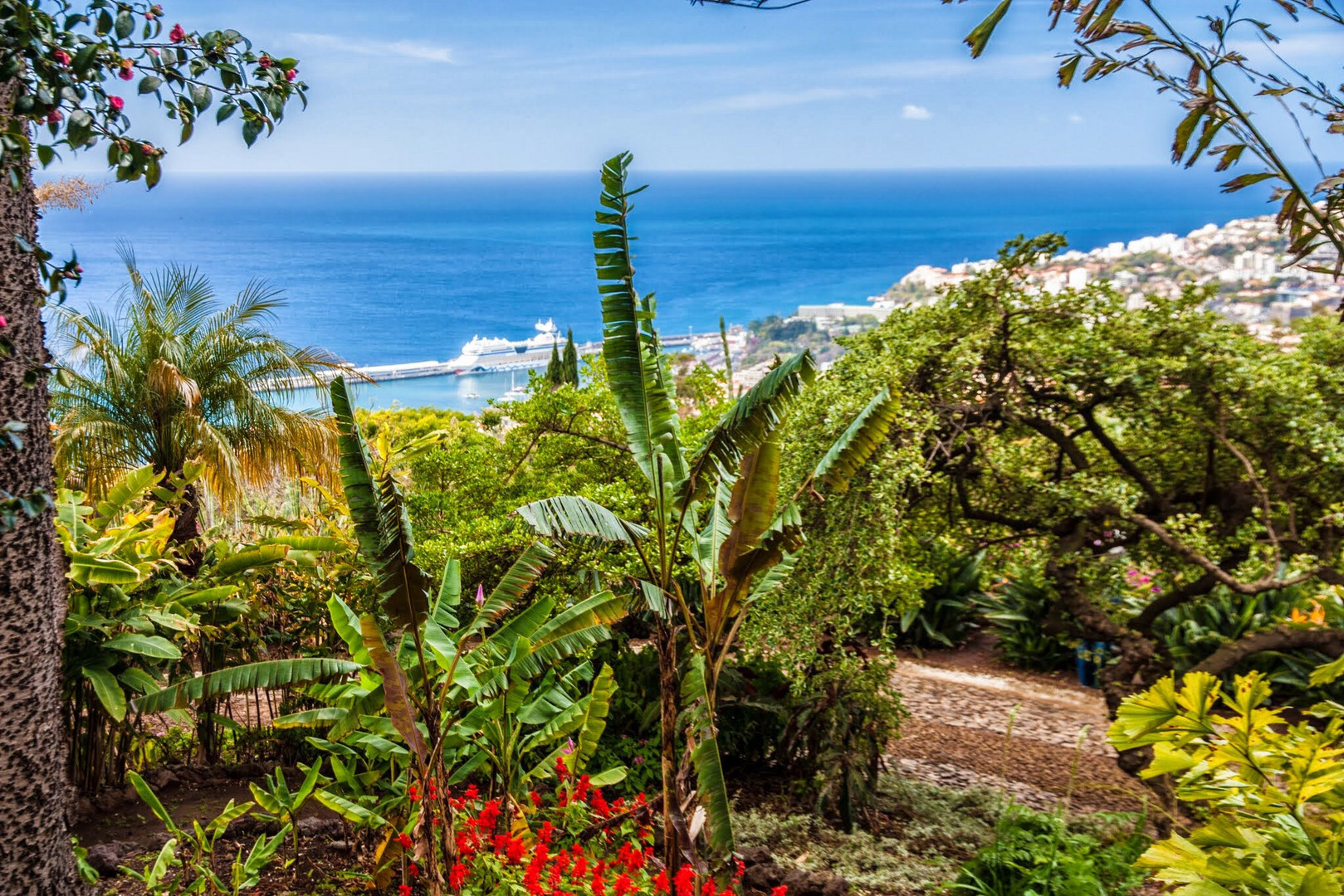 botanischer Garten