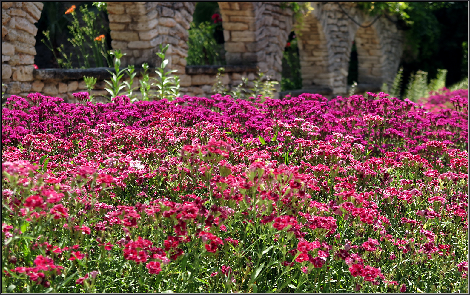 Botanischer Garten - Baltschik - Bulgarien