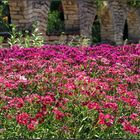 Botanischer Garten - Baltschik - Bulgarien