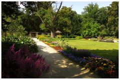 Botanischer Garten Bamberg