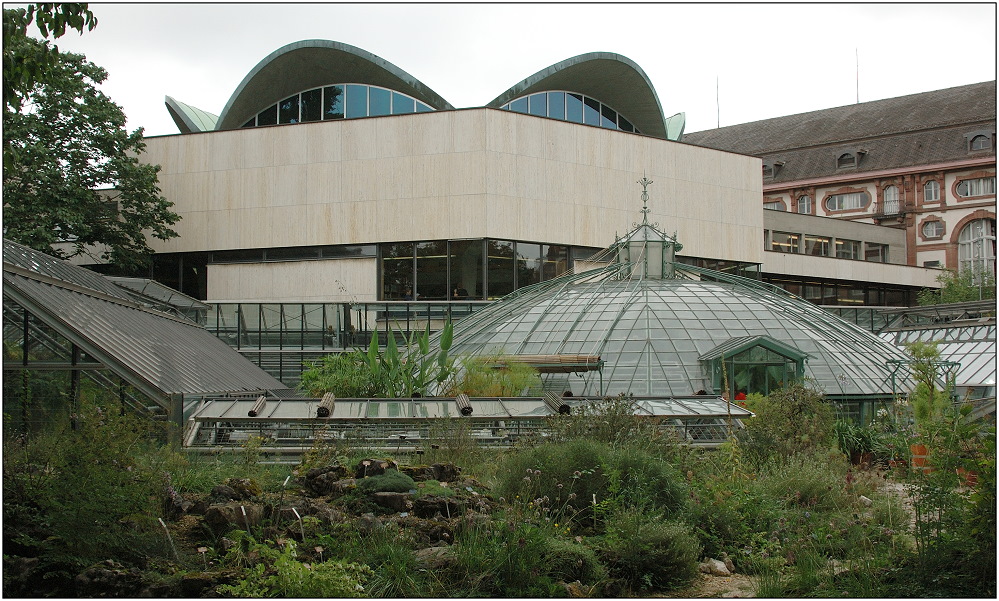 ... Botanischer Garten Basel ...