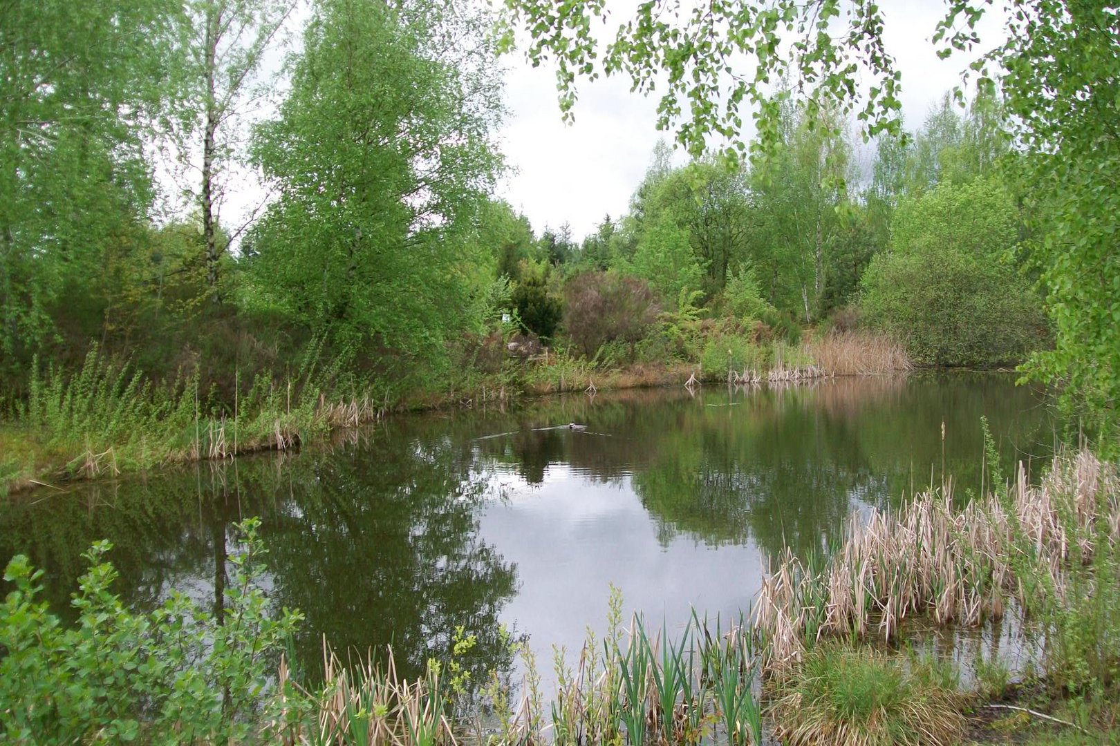 Botanischer Garten Bayreuth