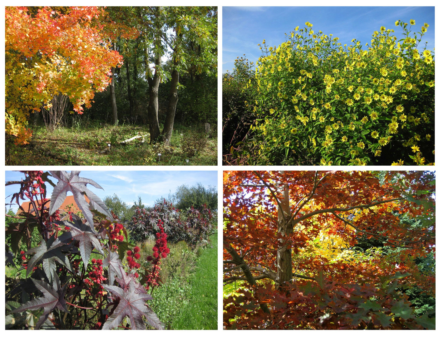 Botanischer Garten Bayreuth