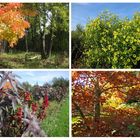 Botanischer Garten Bayreuth