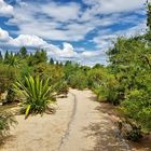 Botanischer Garten Bayreuth