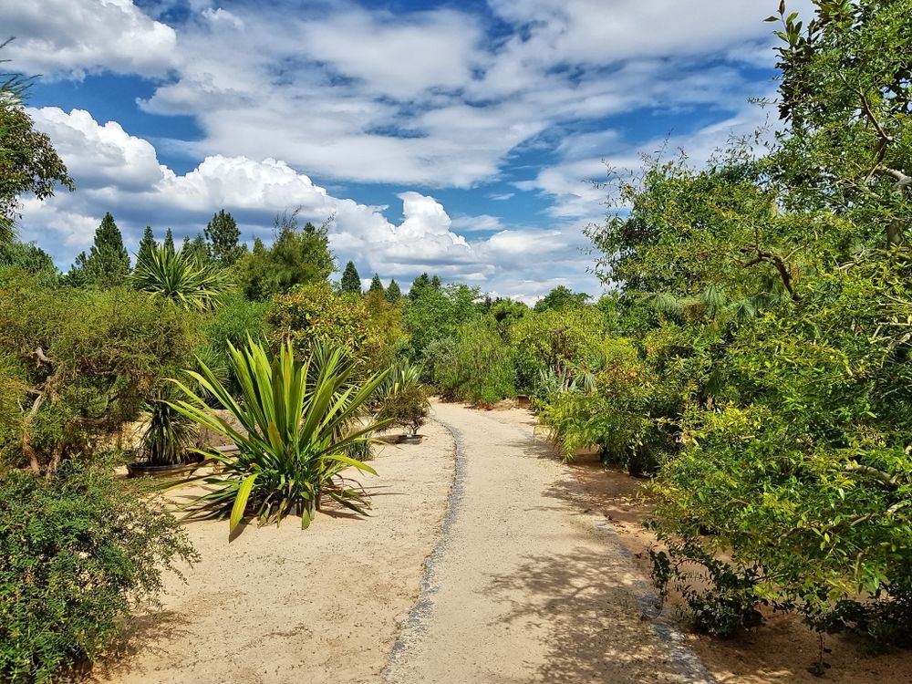 Botanischer Garten Bayreuth Foto & Bild natur