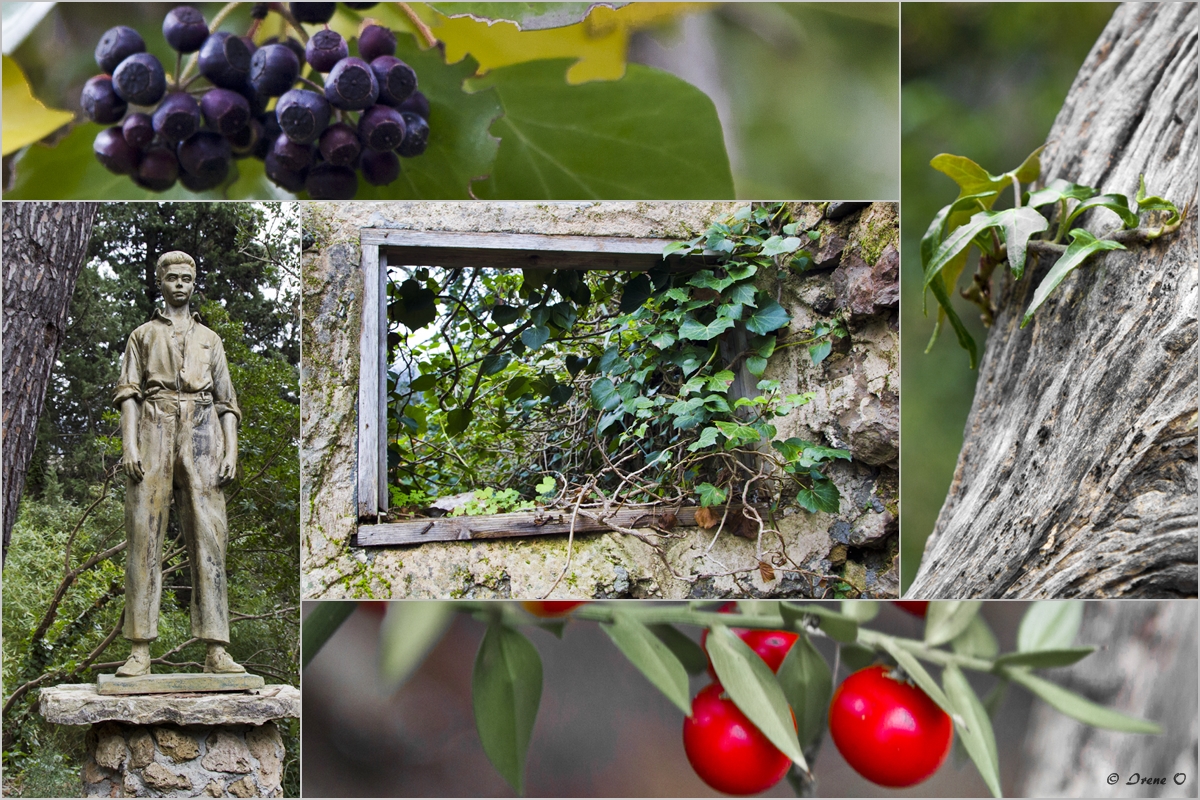 Botanischer Garten beim Kloster Lluc ~ Teil 1