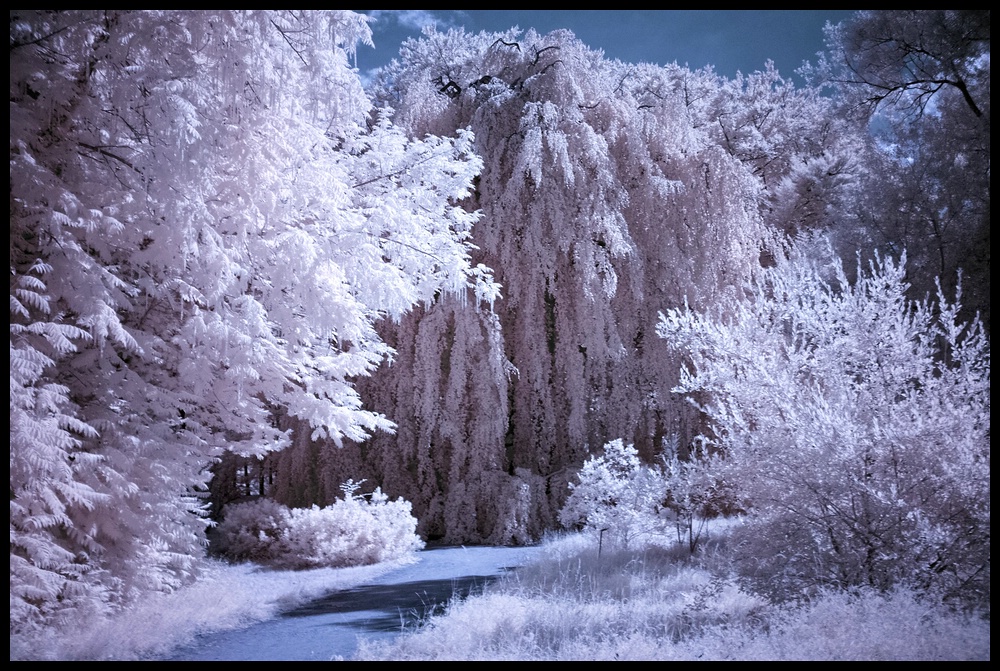 Botanischer Garten Berlin 2