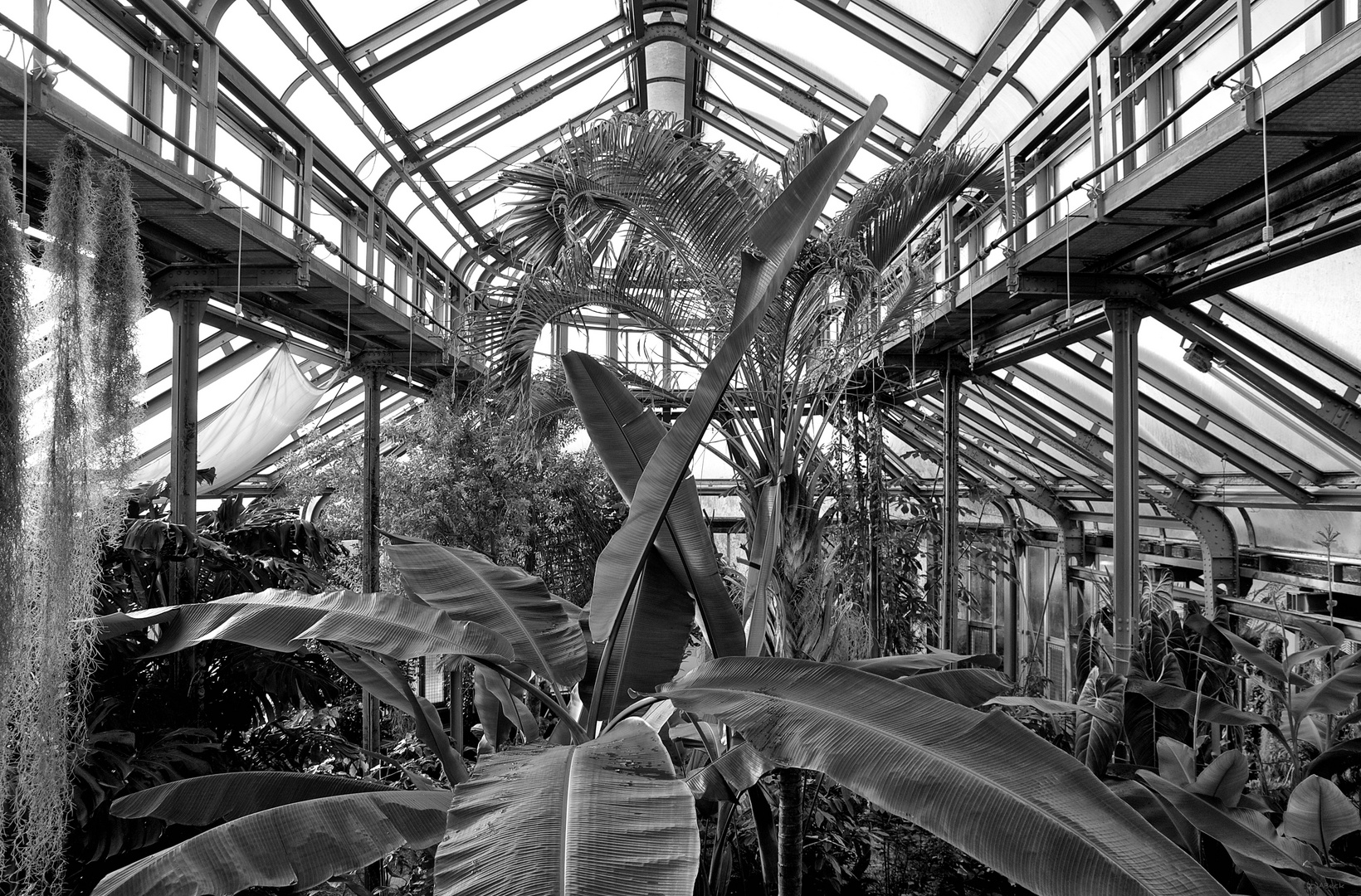 Botanischer Garten Berlin