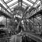 Botanischer Garten Berlin