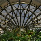 Botanischer Garten Berlin