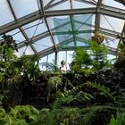 Botanischer Garten Berlin