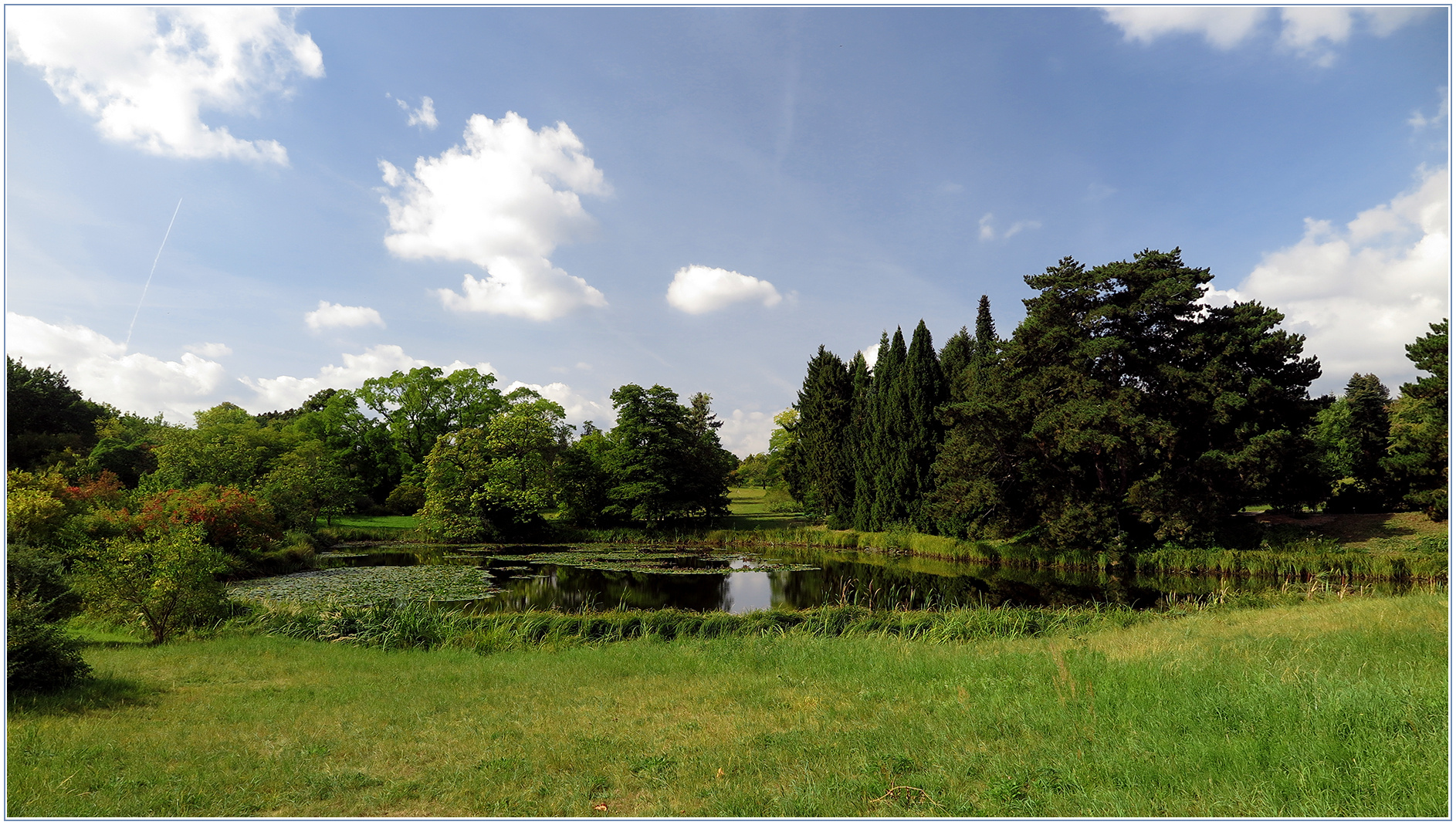 Botanischer Garten  - Berlin