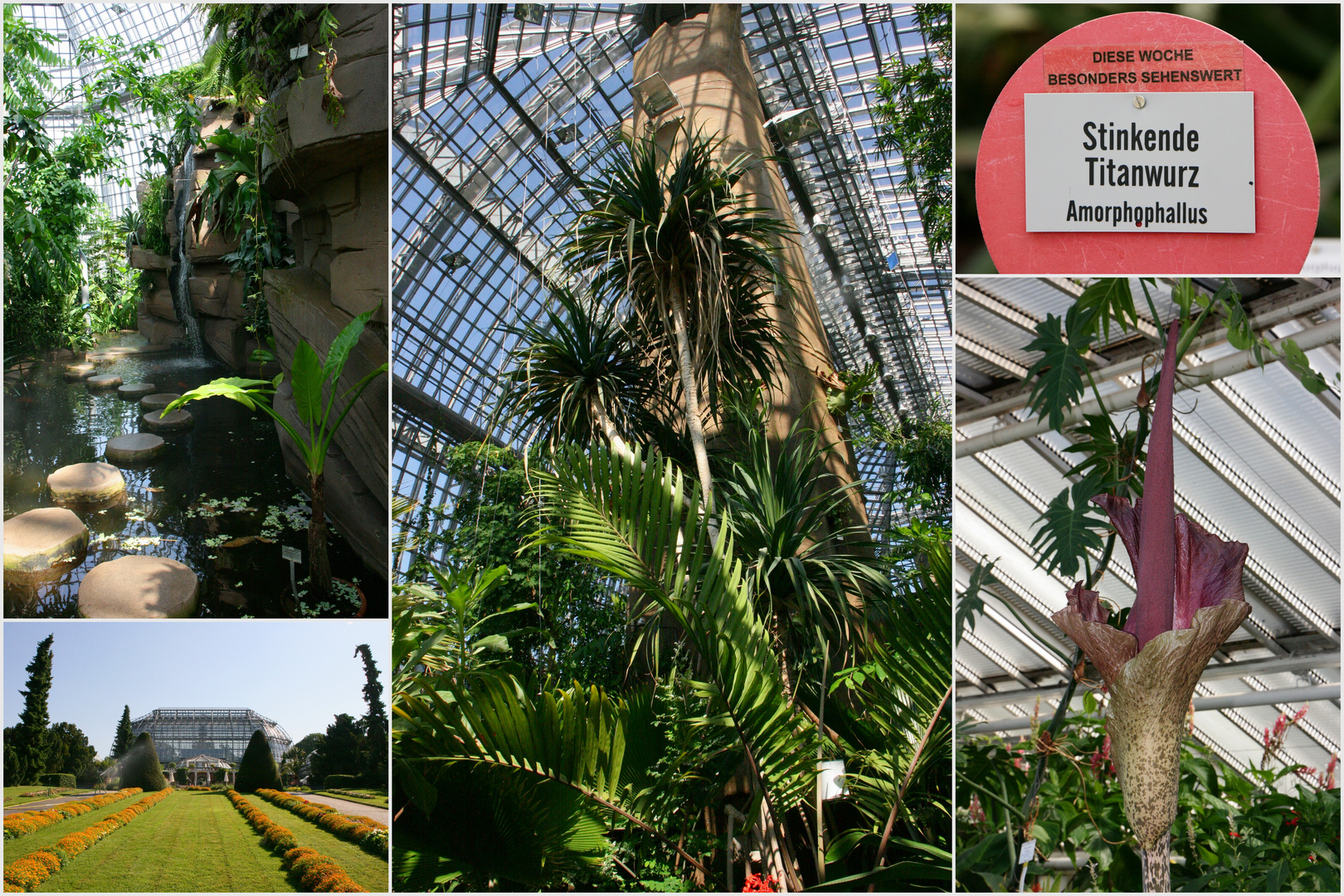 Botanischer Garten Berlin Dahlem 02 Foto & Bild