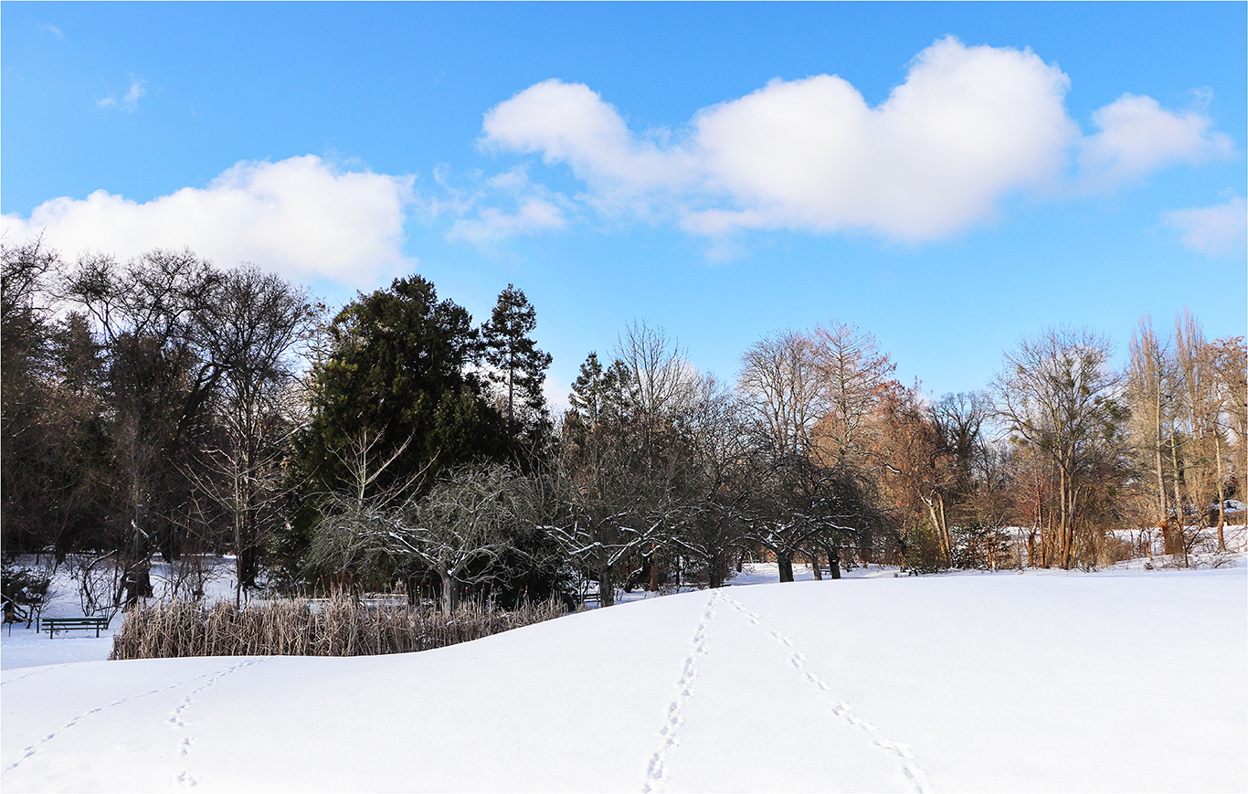 " Botanischer Garten "  Berlin