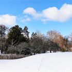 " Botanischer Garten "  Berlin