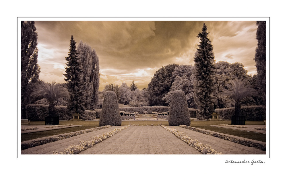 Botanischer Garten Berlin