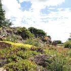 Botanischer Garten Berlin I