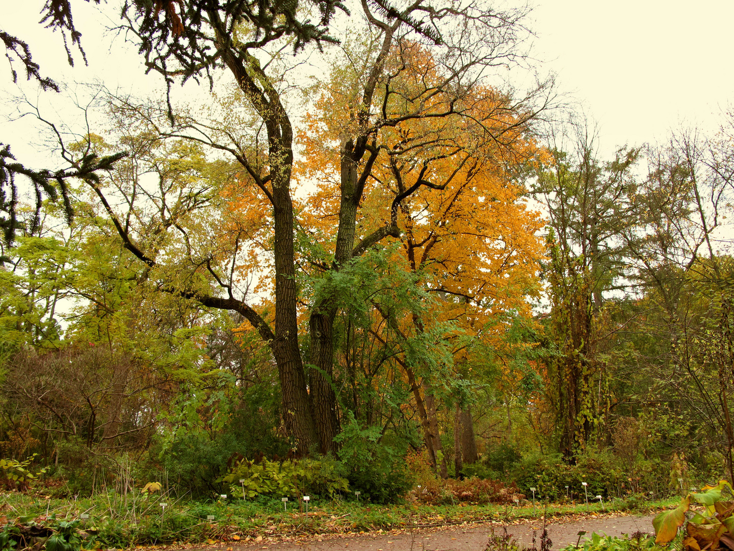 Botanischer Garten Berlin im Herbstkleid