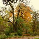 Botanischer Garten Berlin im Herbstkleid