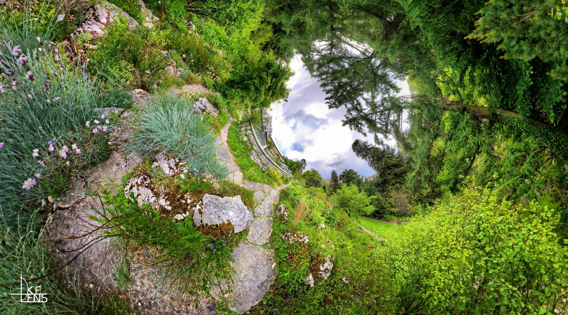 Botanischer Garten Bern Selection