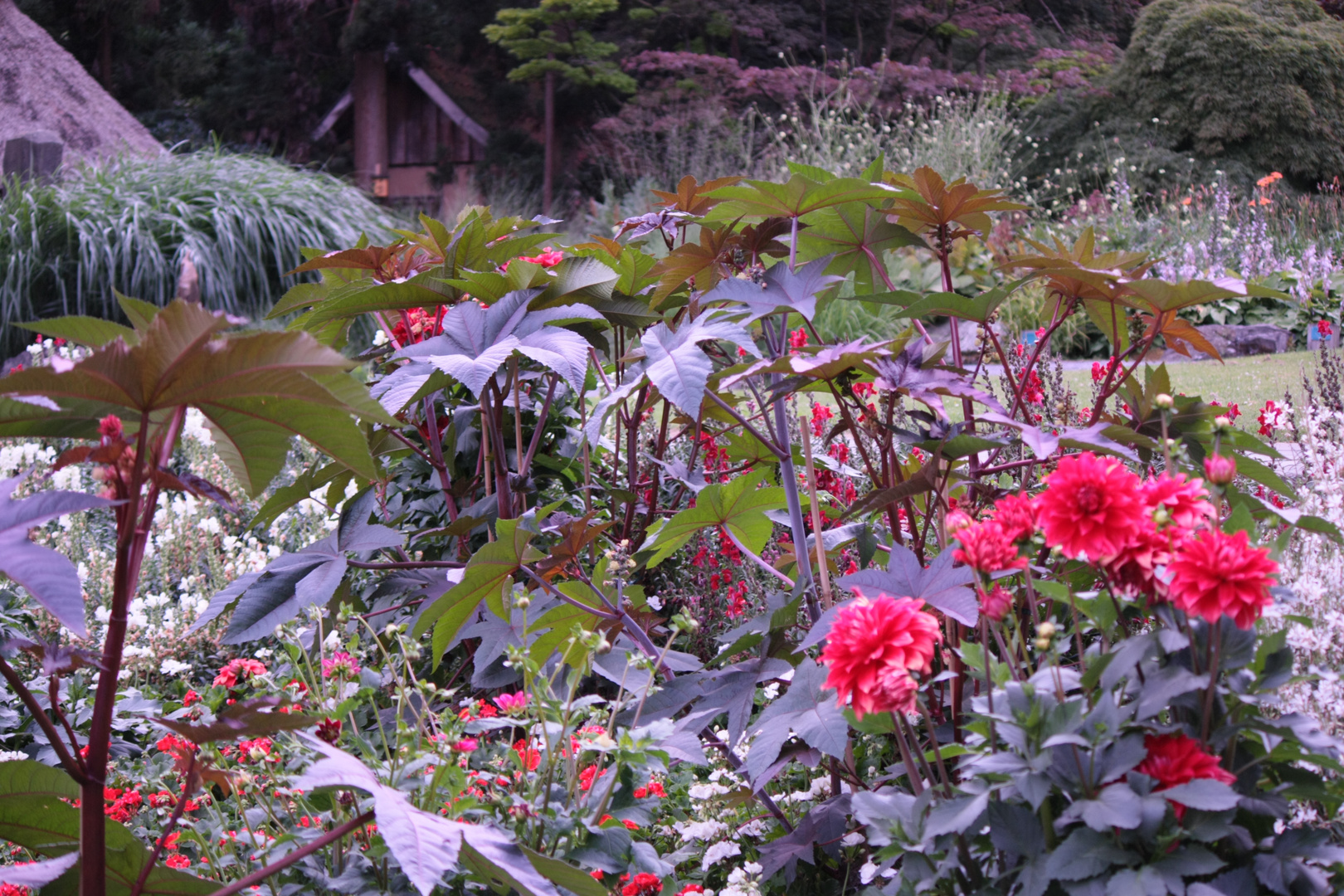 Botanischer Garten Bielefeld