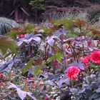 Botanischer Garten Bielefeld