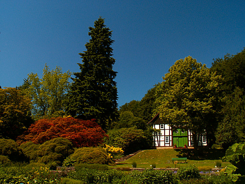 botanischer Garten Bielefeld