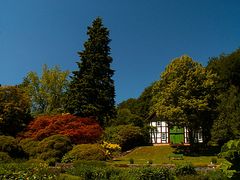 botanischer Garten Bielefeld