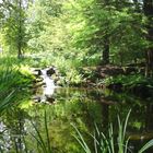 Botanischer Garten Bochum