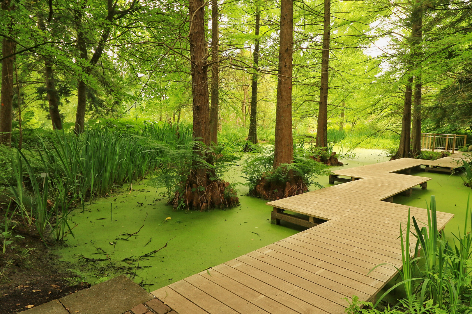 Botanischer Garten Bochum